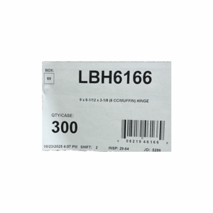 6 COUNT CUPCAKE CONTAINER 300 CT