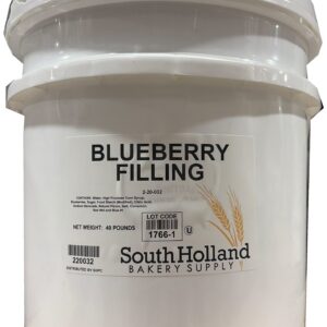 BLUEBERRY DONUT FILLING 40LB